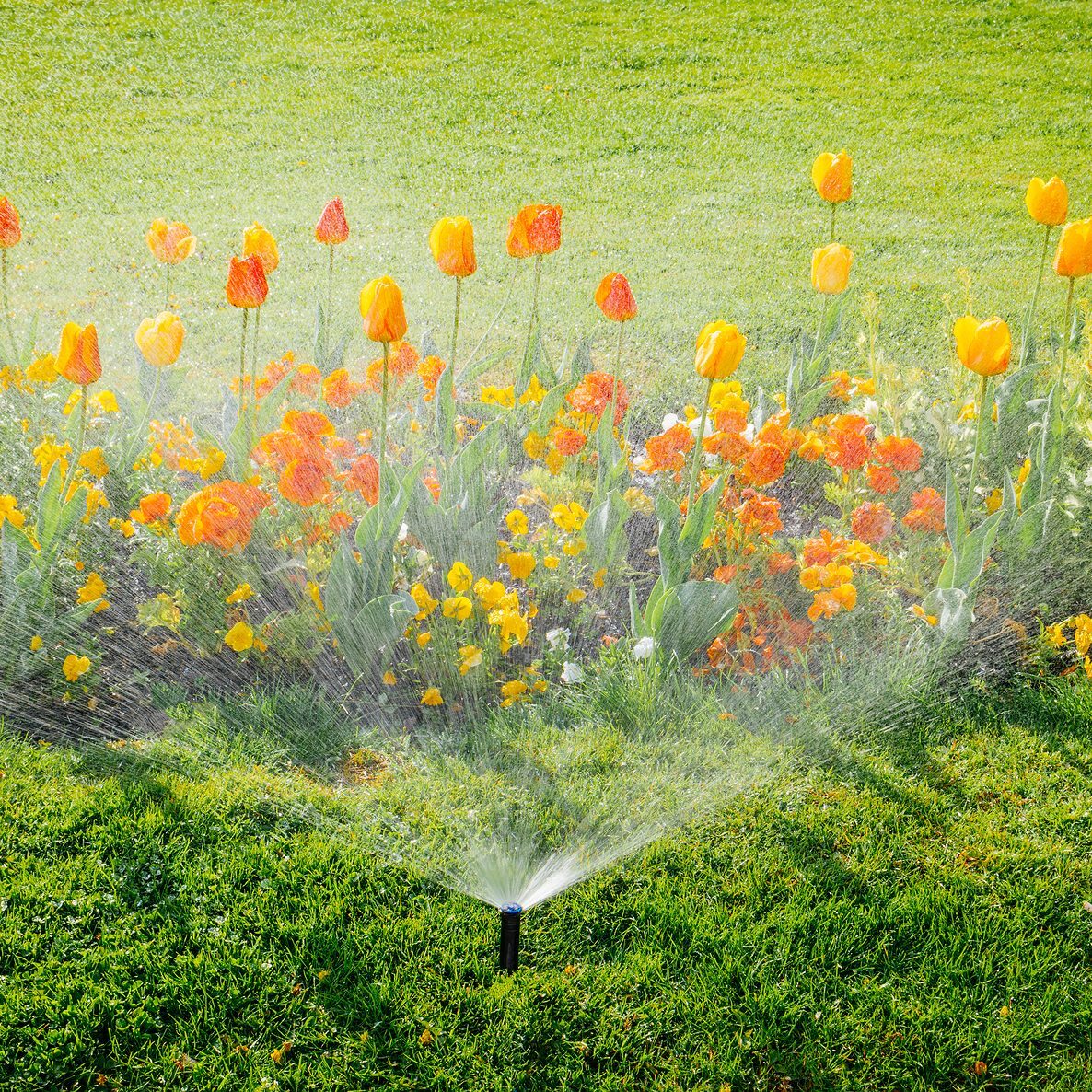 irrigation-flowers-circle